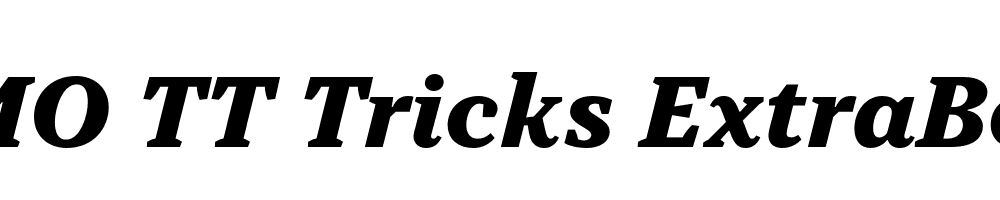 FSP DEMO TT Tricks ExtraBold Italic