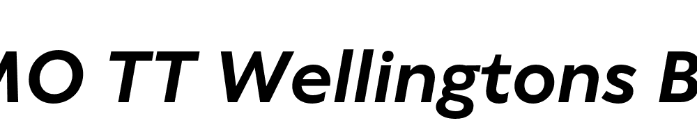 FSP DEMO TT Wellingtons Bold Italic