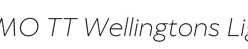 FSP DEMO TT Wellingtons Light Italic