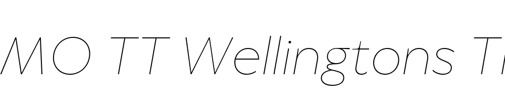 FSP DEMO TT Wellingtons Thin Italic