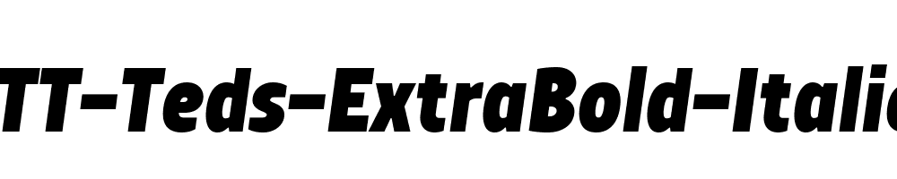 TT-Teds-ExtraBold-Italic