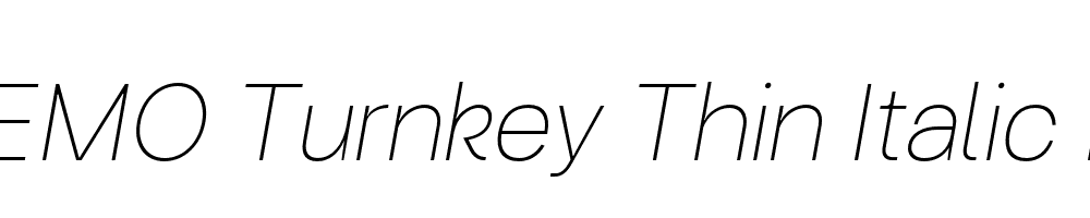 FSP DEMO Turnkey Thin Italic Regular