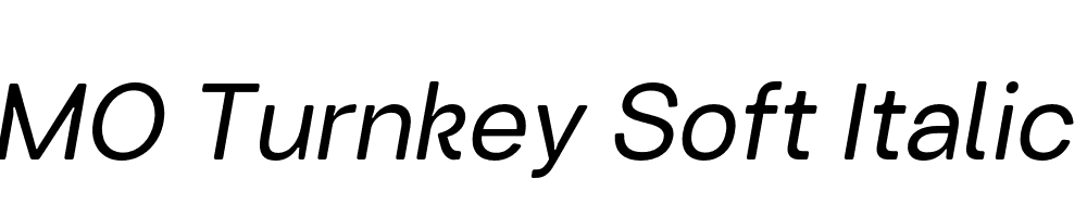 FSP DEMO Turnkey Soft Italic Regular