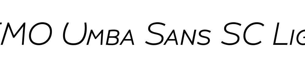 FSP DEMO Umba Sans SC Light Italic