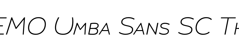 FSP DEMO Umba Sans SC Thin Italic