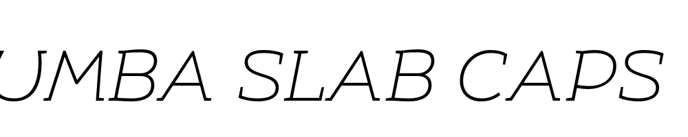 FSP DEMO Umba Slab Caps Thin Italic