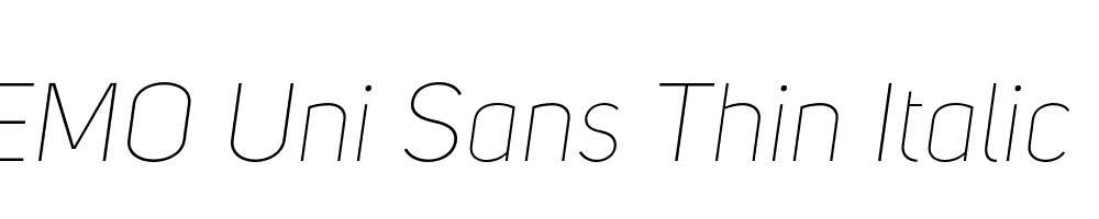 FSP DEMO Uni Sans Thin Italic Regular