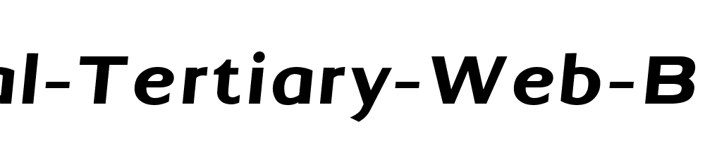 Universal-Tertiary-Web-Bold-Italic