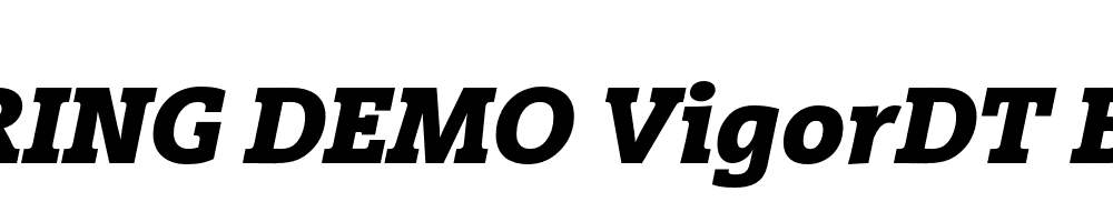  DEMO VigorDT Bold Italic