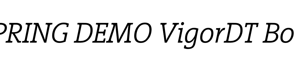  DEMO VigorDT Book Italic