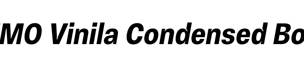 FSP DEMO Vinila Condensed Bold Italic