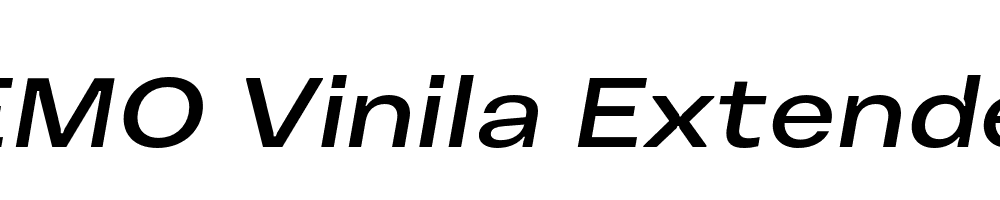 FSP DEMO Vinila Extended Italic