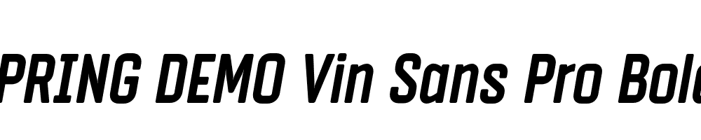  DEMO Vin Sans Pro Bold Italic