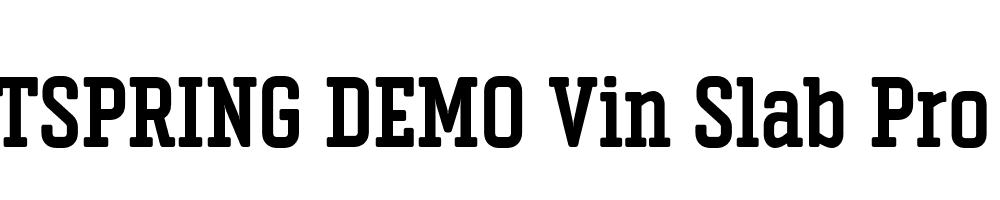  DEMO Vin Slab Pro Bold