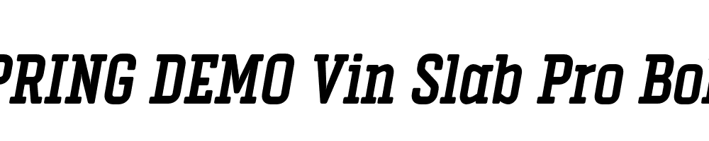  DEMO Vin Slab Pro Bold Italic