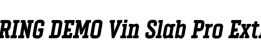  DEMO Vin Slab Pro ExtBd Italic