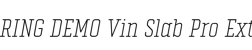  DEMO Vin Slab Pro ExtLt Italic