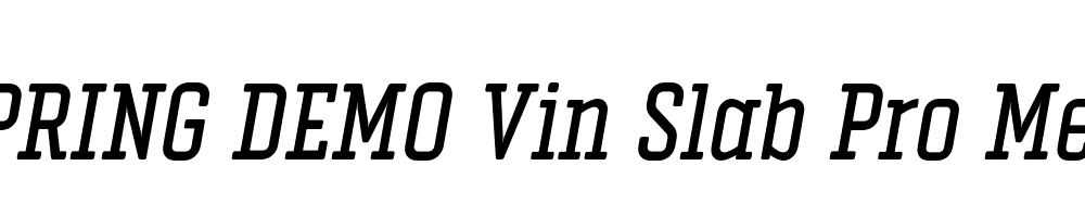  DEMO Vin Slab Pro Med Italic