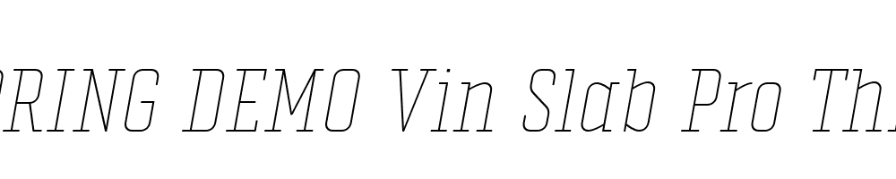  DEMO Vin Slab Pro Thin Italic