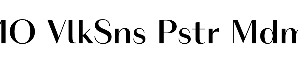 FSP DEMO VlkSns Pstr Mdm Regular