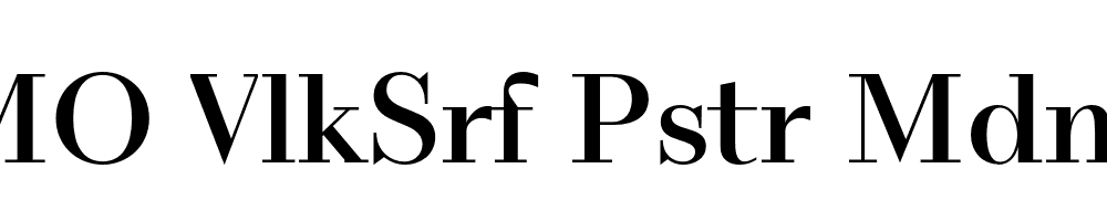 FSP DEMO VlkSrf Pstr Mdm Regular