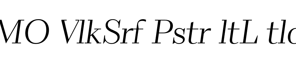 FSP DEMO VlkSrf Pstr ltL tlc Regular