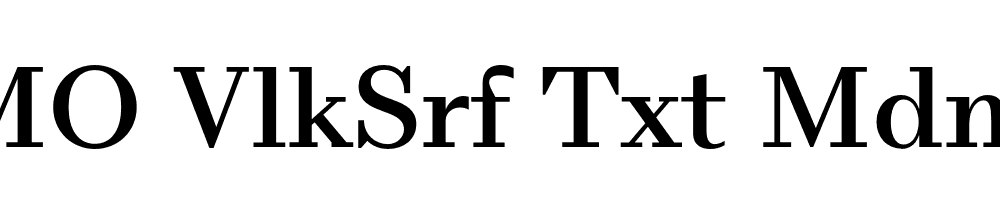 FSP DEMO VlkSrf Txt Mdm Regular