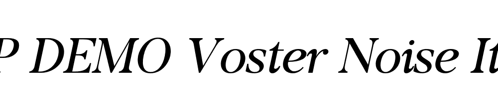 FSP DEMO Voster Noise Italic