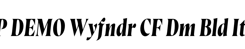 FSP DEMO Wyfndr CF Dm Bld Italic