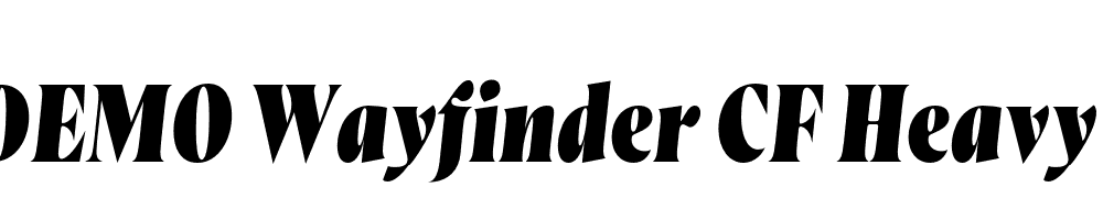 FSP DEMO Wayfinder CF Heavy Italic