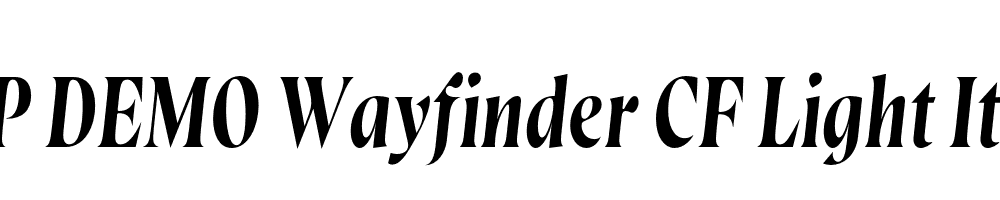 FSP DEMO Wayfinder CF Light Italic