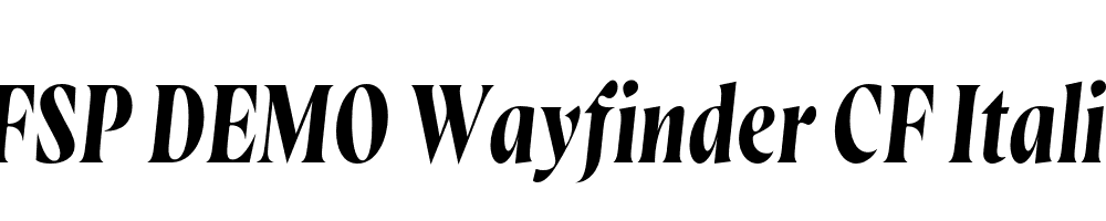 FSP DEMO Wayfinder CF Italic