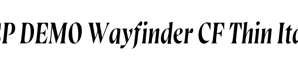 FSP DEMO Wayfinder CF Thin Italic