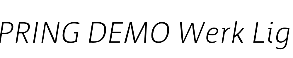  DEMO Werk Light Italic