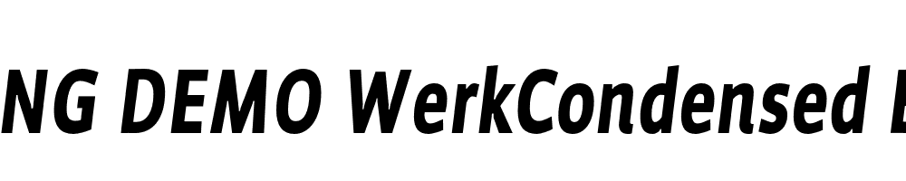  DEMO WerkCondensed Black Italic