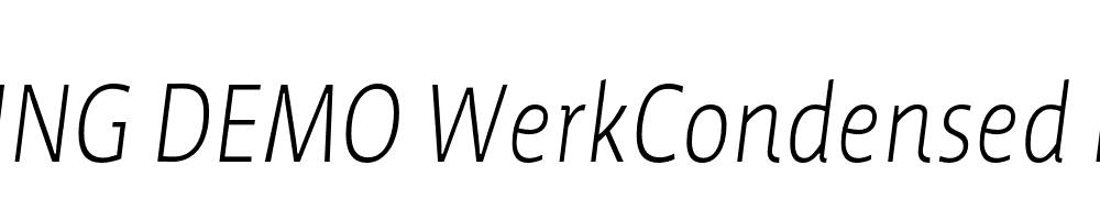  DEMO WerkCondensed Light Italic