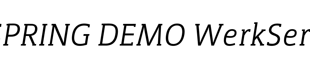  DEMO WerkSerif Italic