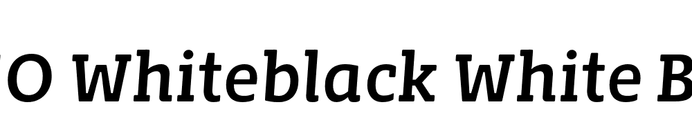 FSP DEMO Whiteblack White Bold Italic