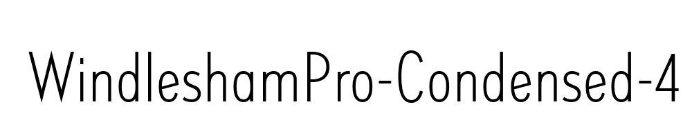 WindleshamPro-Condensed-4