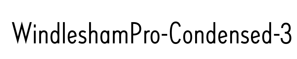 WindleshamPro-Condensed-3