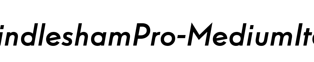 WindleshamPro-MediumItalic