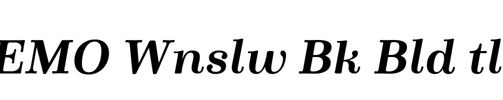 FSP DEMO Wnslw Bk Bld tlc Italic