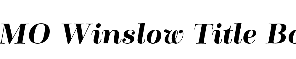 FSP DEMO Winslow Title Bold Italic