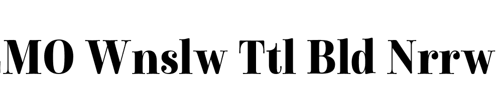 FSP DEMO Wnslw Ttl Bld Nrrw Regular