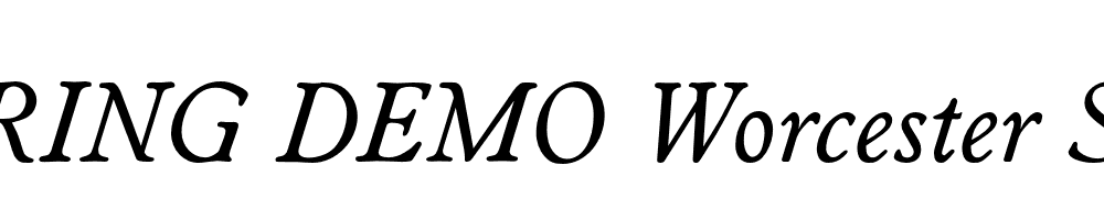  DEMO Worcester Serial Italic