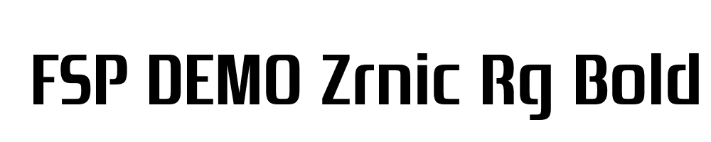 FSP DEMO Zrnic Rg Bold